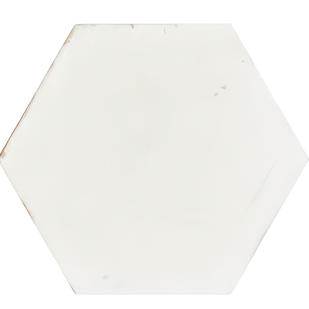 Odyssey 5.5x6.3 Hexagon Matte and Glossy Porcelain Tile