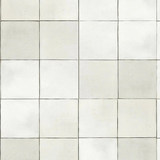 Odyssey 5x5 Square Matte and Glossy Porcelain Tile